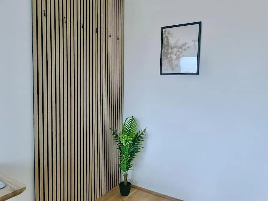Modern Rooftop Apartment With Free Parking Вена