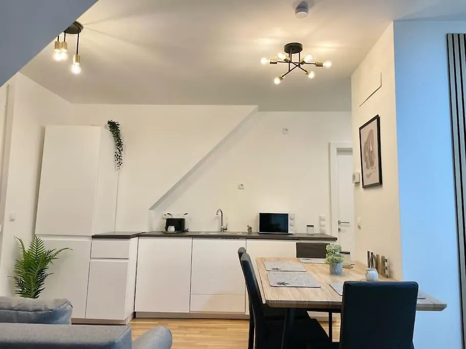 Modern Rooftop Apartment With Free Parking Вена