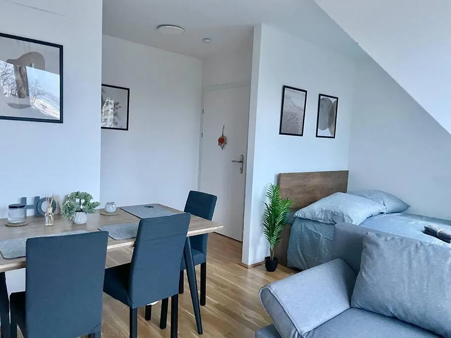 Modern Rooftop Apartment With Free Parking Вена
