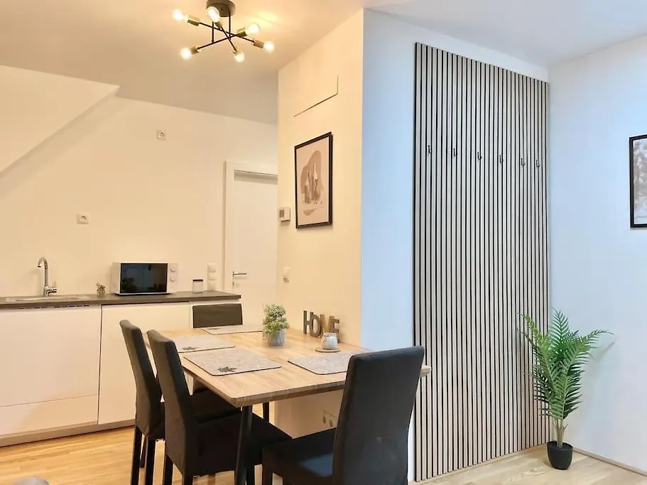 Modern Rooftop Apartment With Free Parking Вена